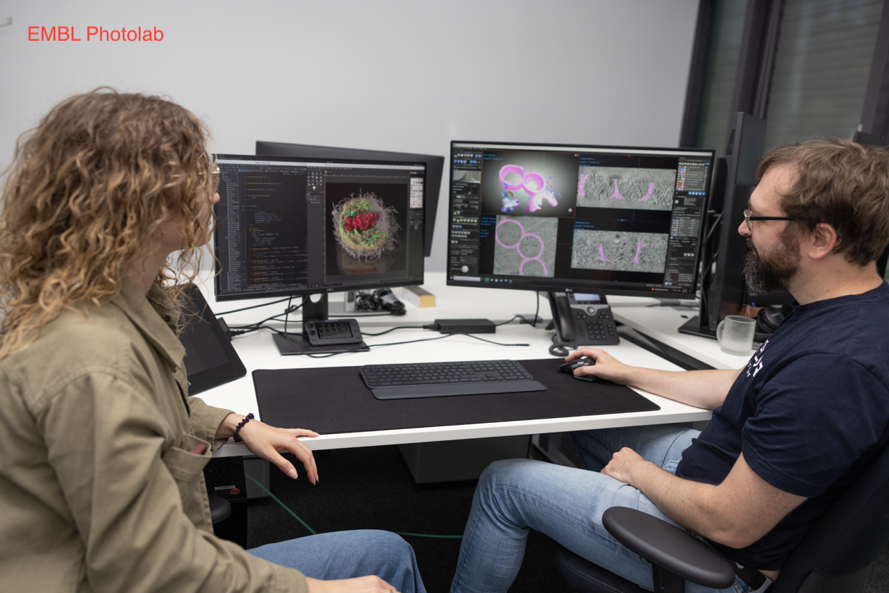 Electron Microscopy Image Processing, Heidelberg, EMBL