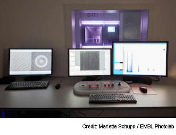Electron Microscopy and Cryo-CLEM, Heidelberg, EMBL